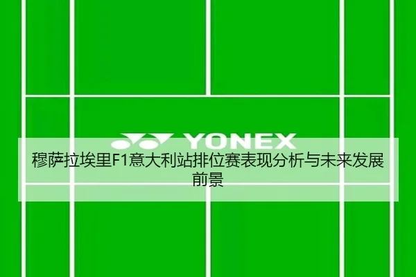 mu-sa-la-ai-li-yi-da-li-zhan-pai-wei-sai-biao-xian-fen-xi-yu-wei-lai-fa-zhan-qian-jing-2-202.jpg