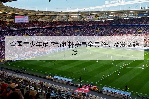全国青少年足球新新杯赛事全景解析及发展趋势